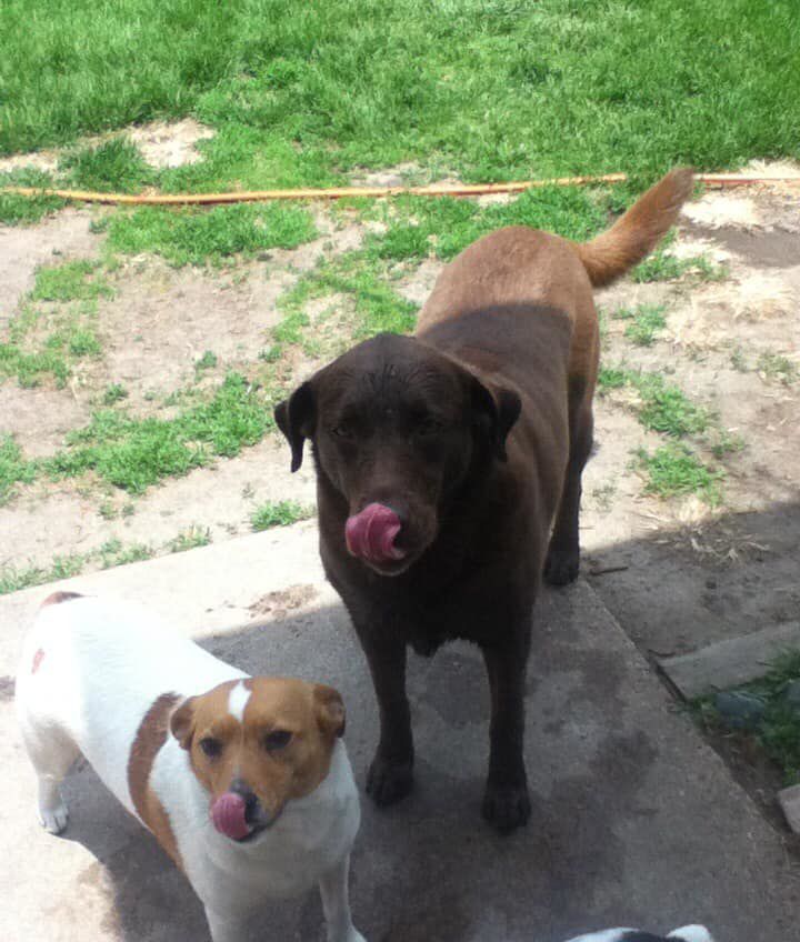 Jackie and Lileigh - Patty Mulinix.jpg
